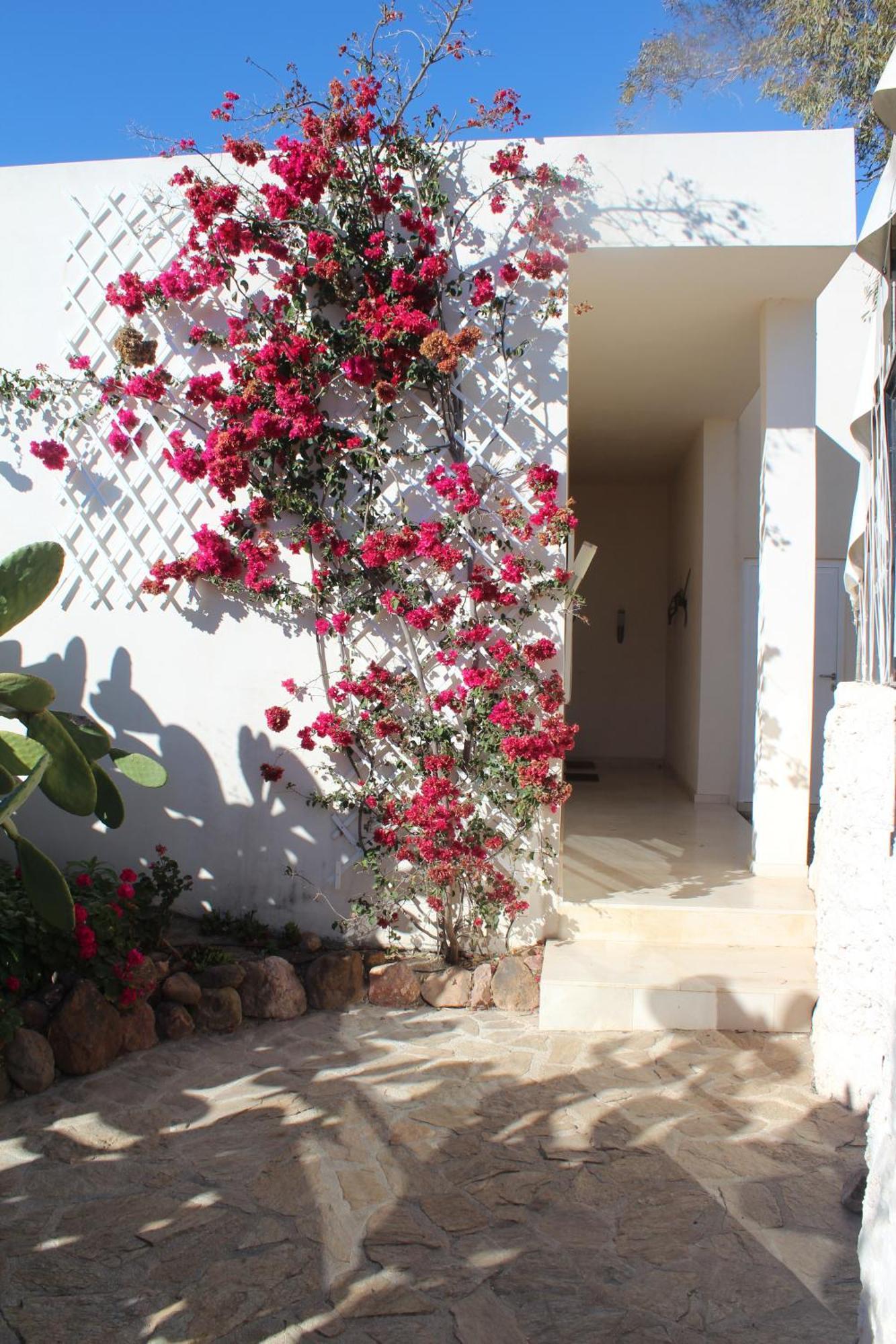 El Jardin De Suenos * Rodalquilar