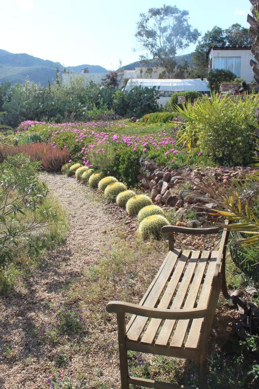 Casa rural El Jardín De Sueños Rodalquilar